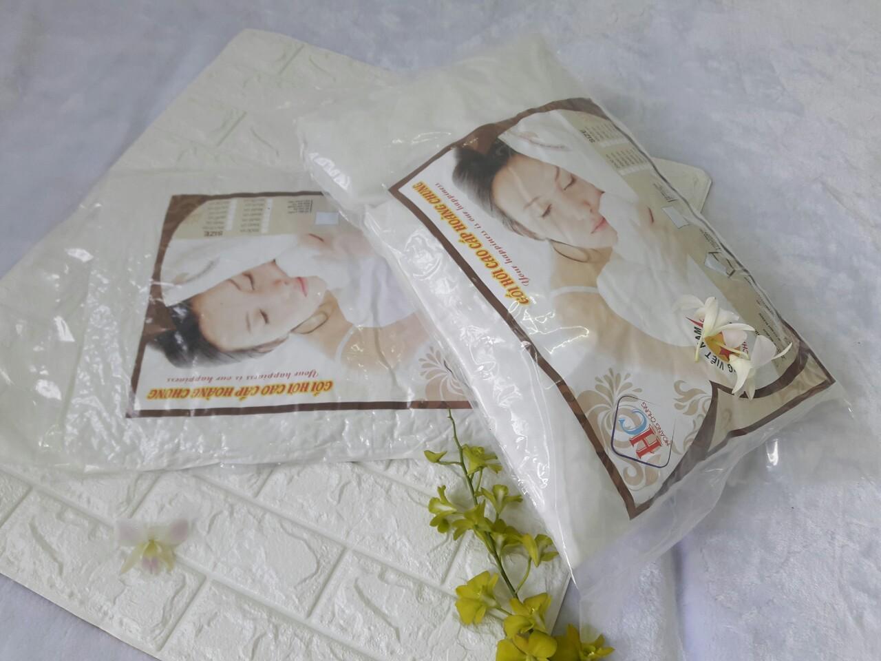 [HCM]Ruột gối nằm cao cấp 40x60cm (combo 1 cặp ruột gối)