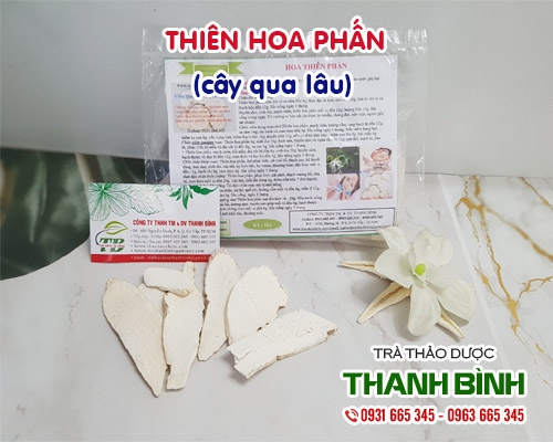 Thiên Hoa Phấn 1Kg Hàng Công Ty - Đông Y Thanh Bình
