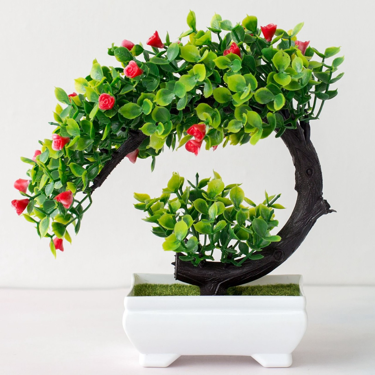 [HCM]Chậu Cây Bonsai Phú Quý - Vạn Sự Như Ý
