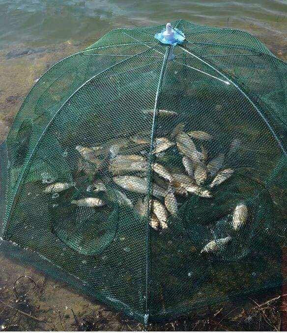 [HCM]lưới bắt cá bát quái