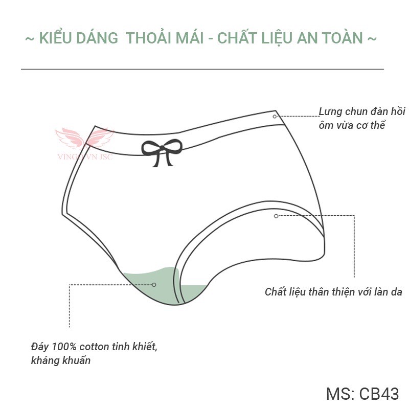 Combo 5 quần lót cotton nữ Vingo CB43 VNGO