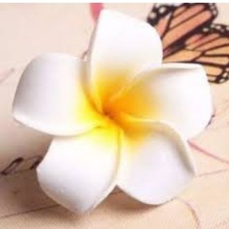 Combo 3 Kẹp Tóc Hoa Đại