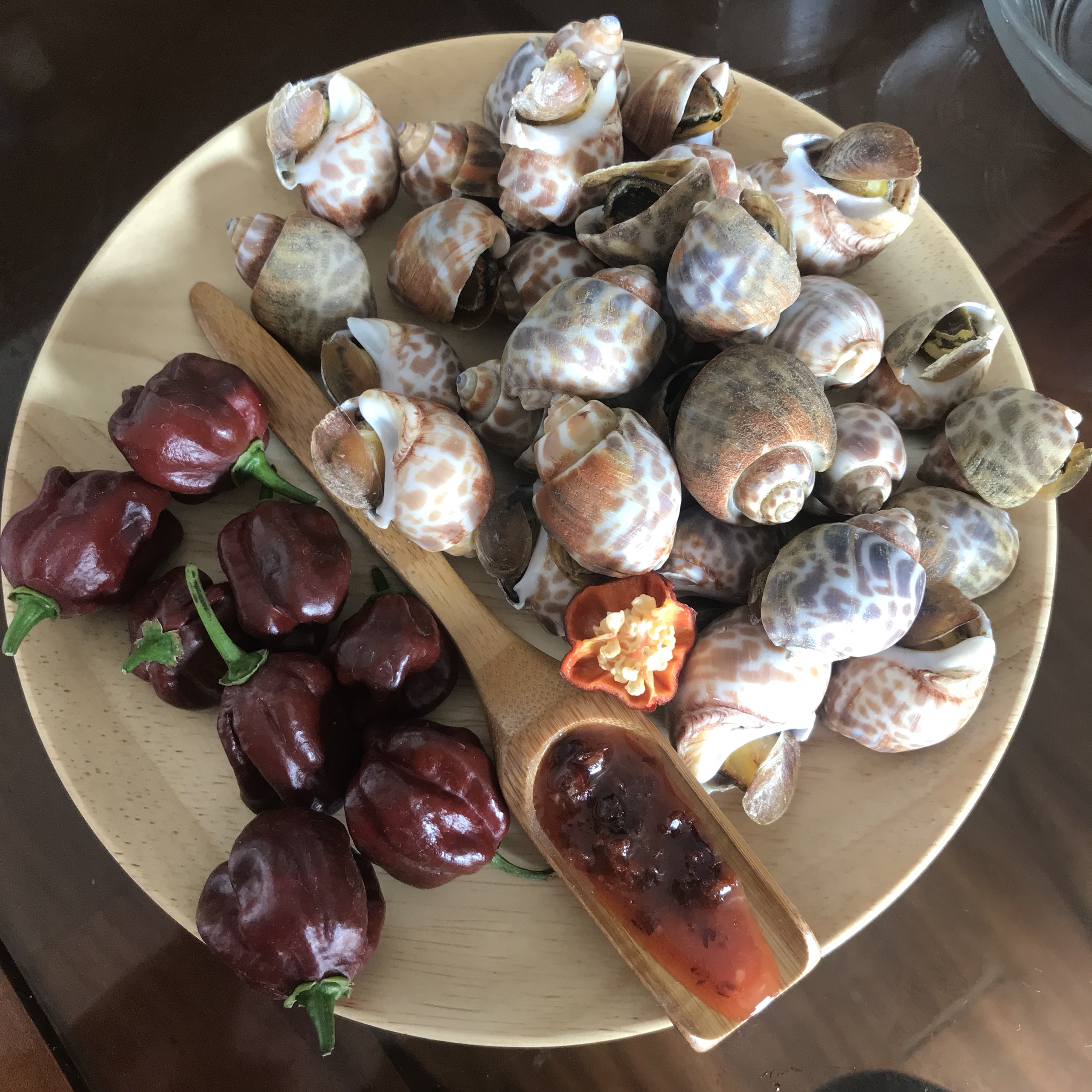 Hạt ớt Giống Habanero choco (5 hạt)