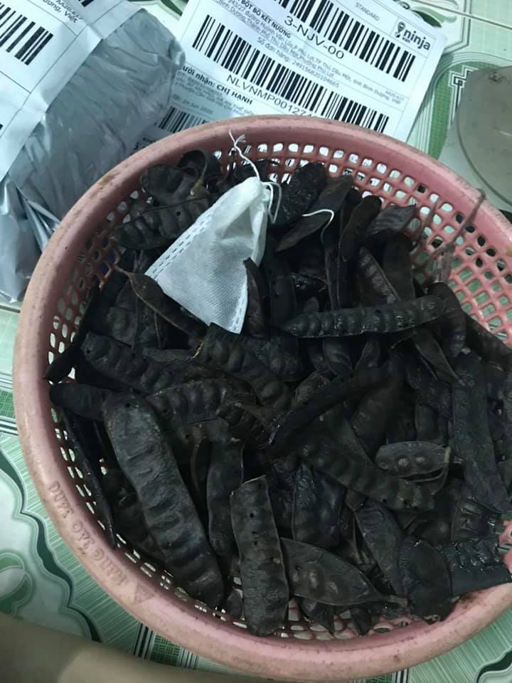 trái bồ kết 500g ( bồ kết trái/ bồ kết khô)