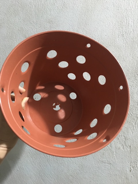 Combo 2 chậu nhựa giả đất nung phi 23