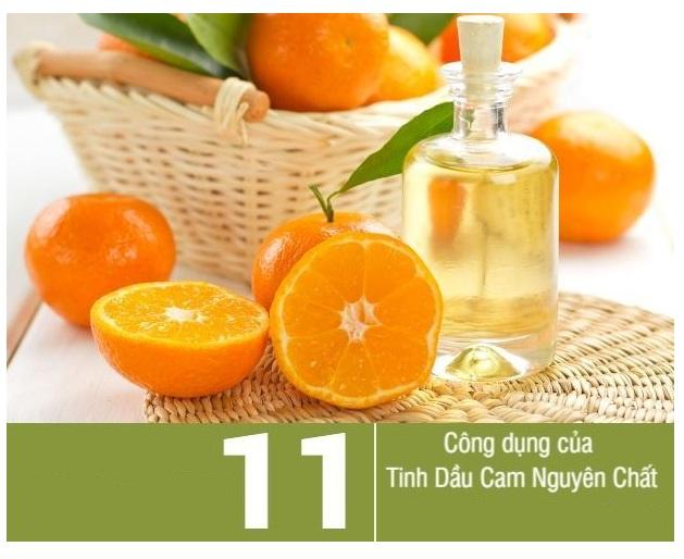 Tinh dầu Cam Ngọt nguyên chất lọ 50ml