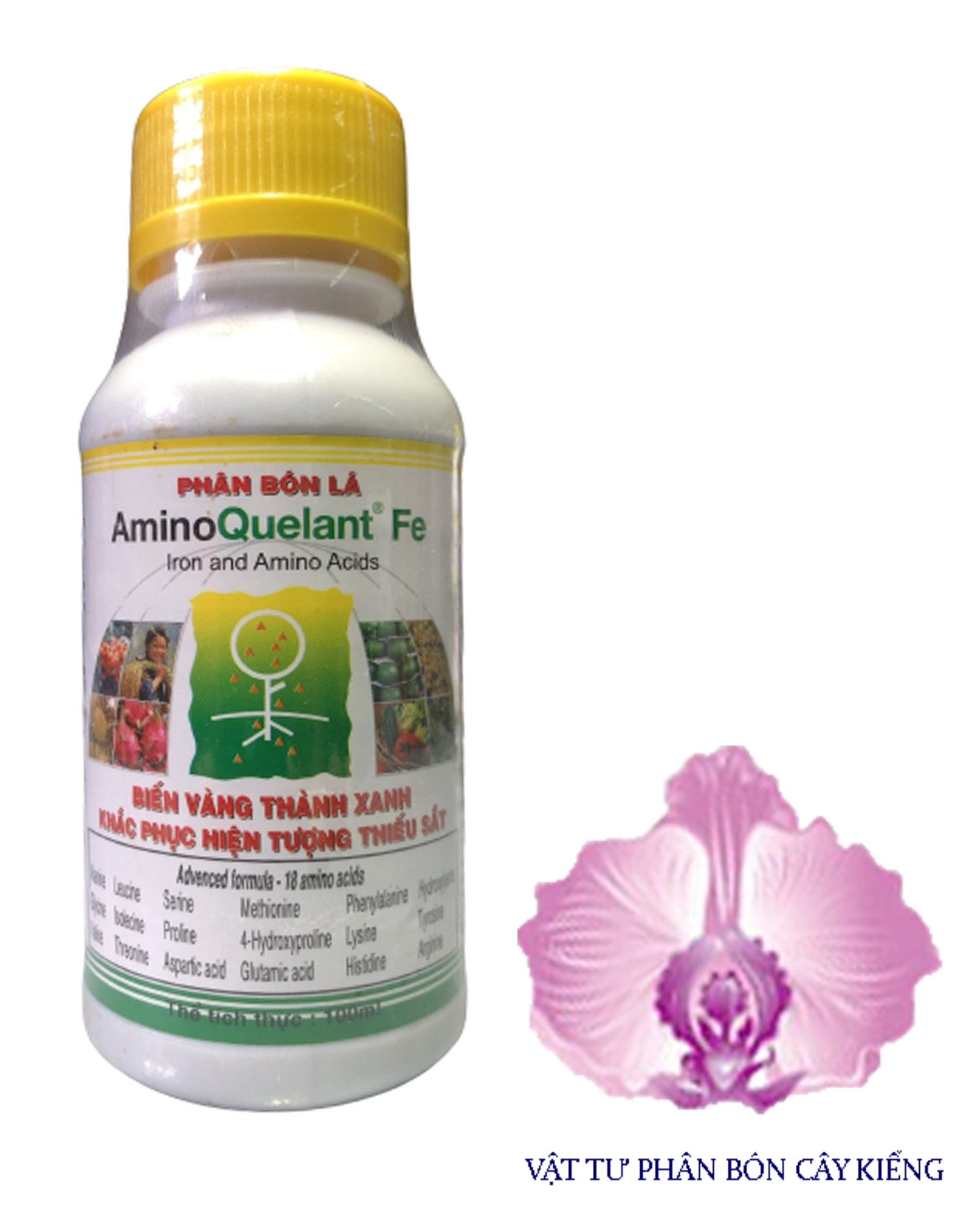 Phân bón lá amino quelant fe - #065a# 100ml