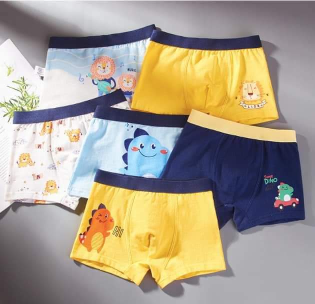 Quần sịp bé trai - set 4 quần đủ size 7-50kg yh002