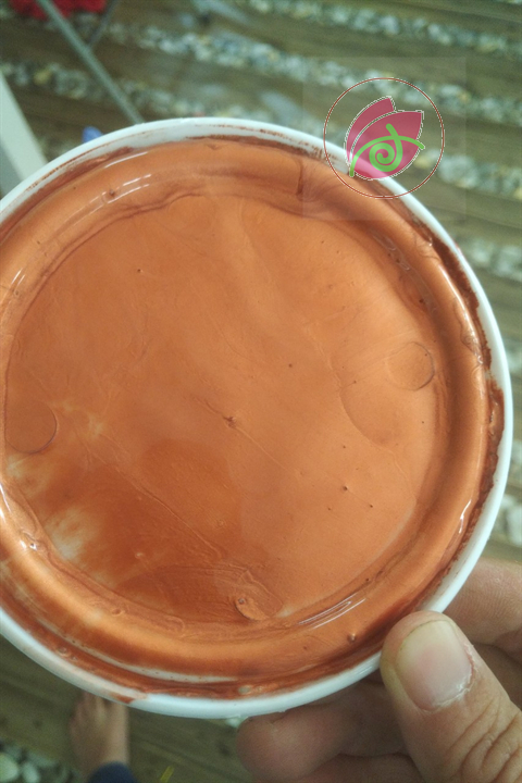 Sơn nhũ đồng hệ nước 850g