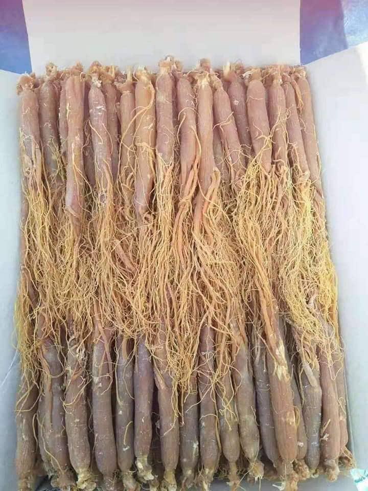 Hồng sâm khô 100g
