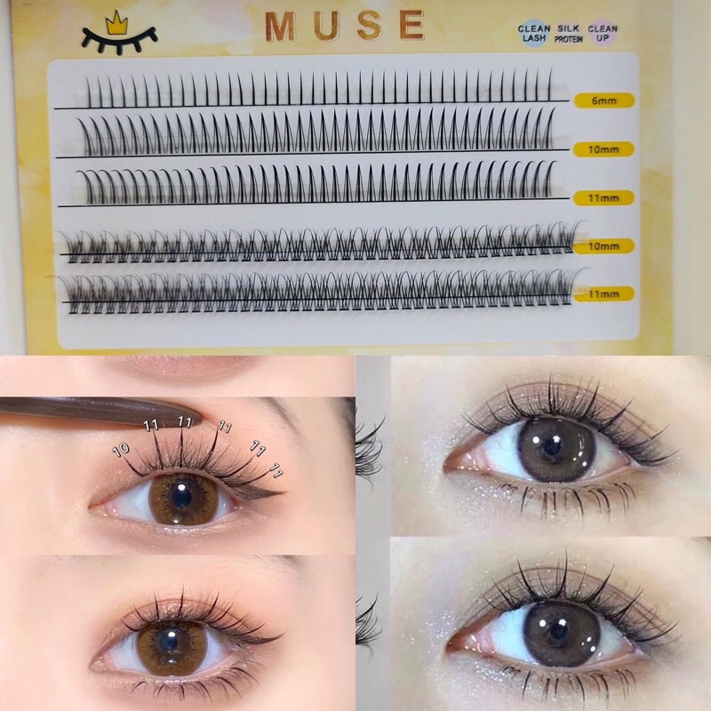 [Nhập RAISINGSTAR18, giảm 30k cho đơn 99k]Lông Mi Muse 5 Hàng N01 và N04