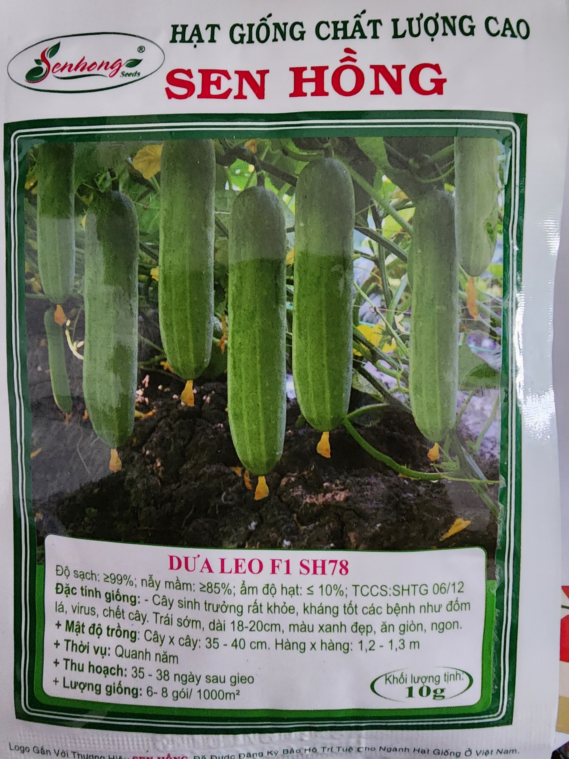 Hạt giống dưa leo bóng sh 78