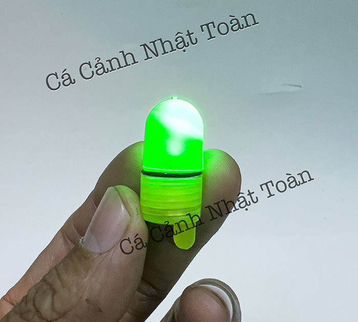 "hoàn tiền đến 10%" đèn gắn chuông báo cá câu cá câu đêm