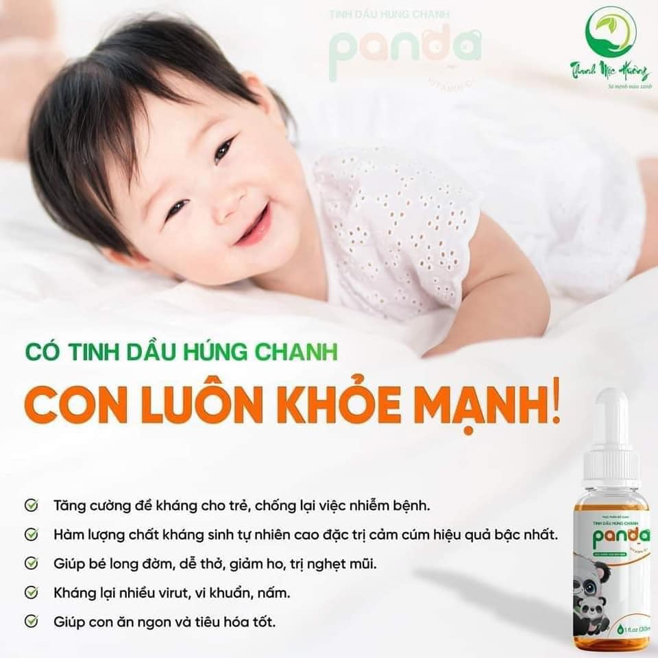 Tinh dầu húng chanh panda thanh mộc hương