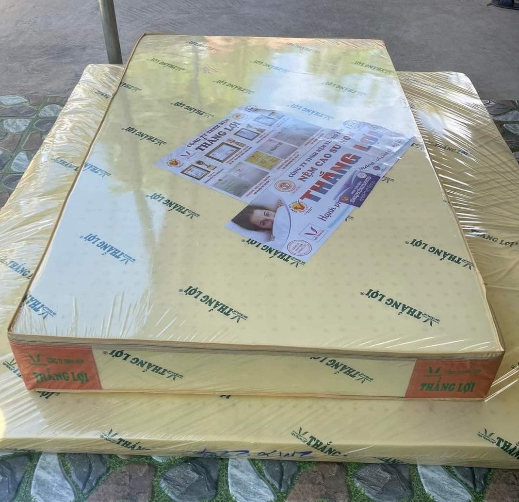 Nệm Dày 10 Cao su non Thắng Lợi cao cấp (giá tại nhà máy)