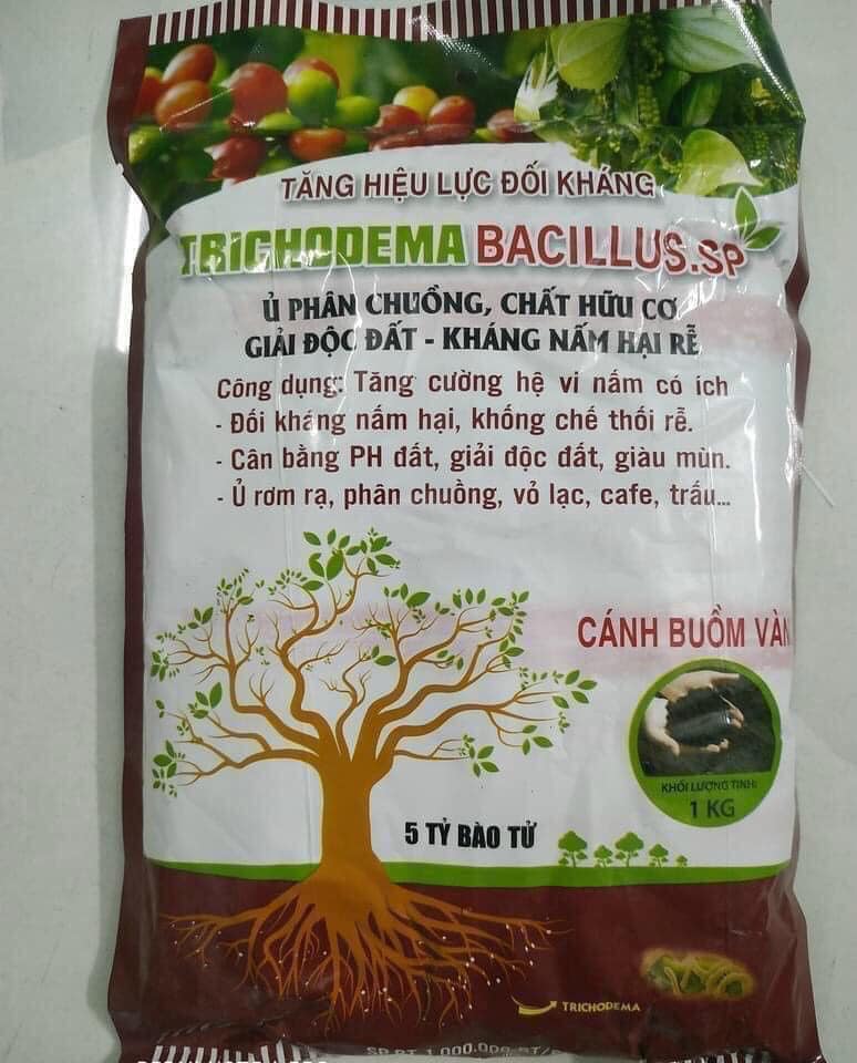 sản phẩm Nấm đối kháng Trichoderma Bacillus – T32 tăng hiệu lực đối kháng cho cây trồng (gói 1kg)