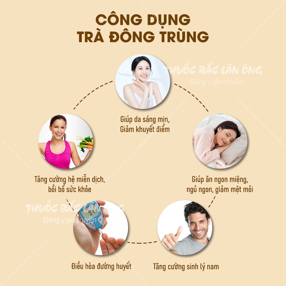 Trà đông trùng hạ thảo set mix sẵn, trà thảo mộc gồm: Táo đỏ, long nhãn, đông trùng hạ thảo, kỳ tử