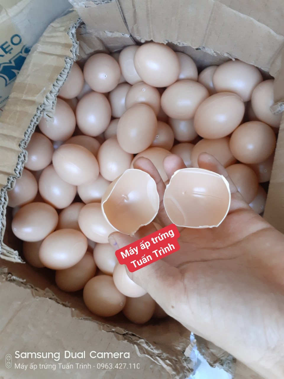 Trứng gà giả