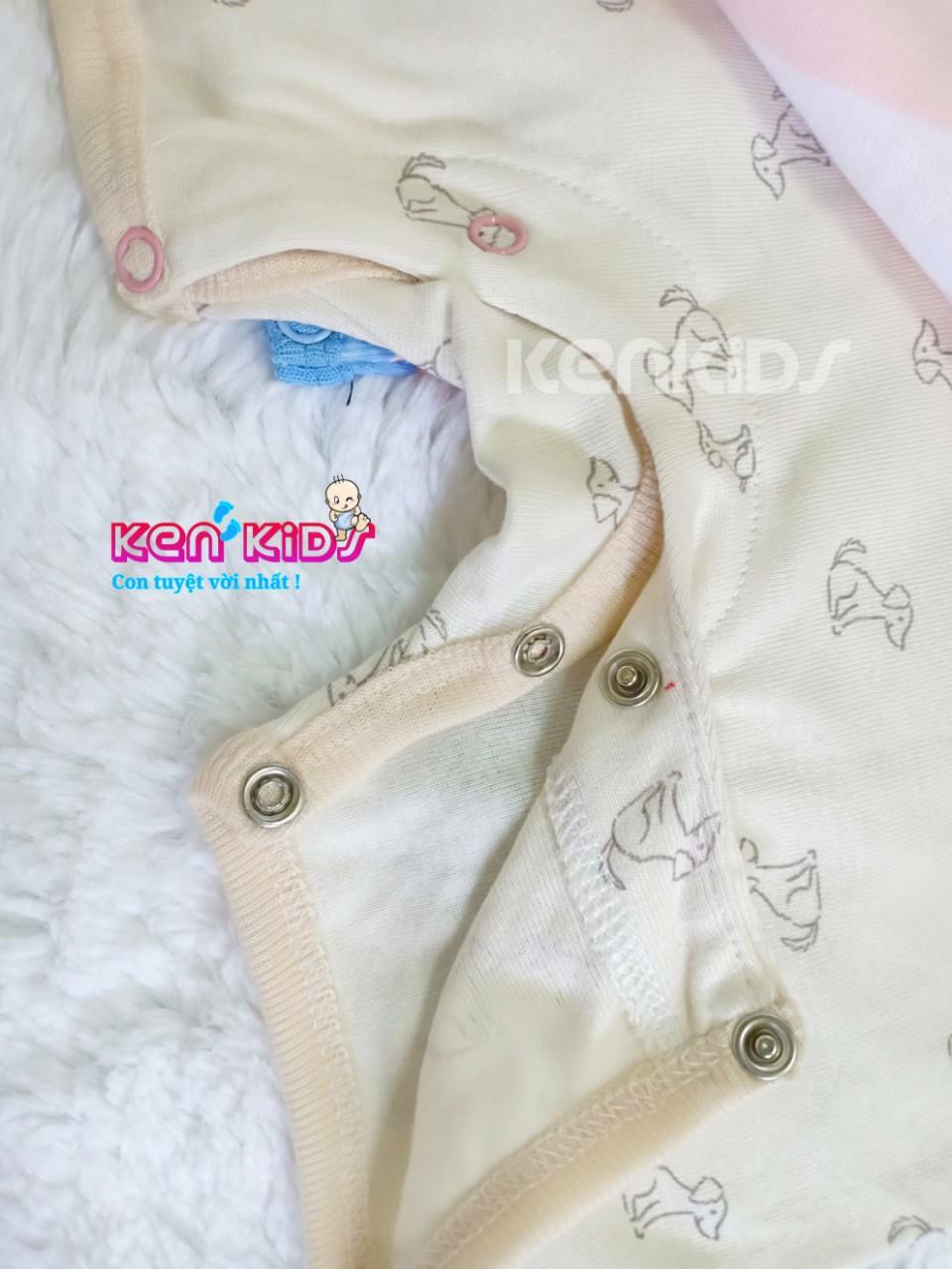 COMBO 5 Body đùi Carter's Thái Lan cho bé trai (3m - 18m) - 5 bộ