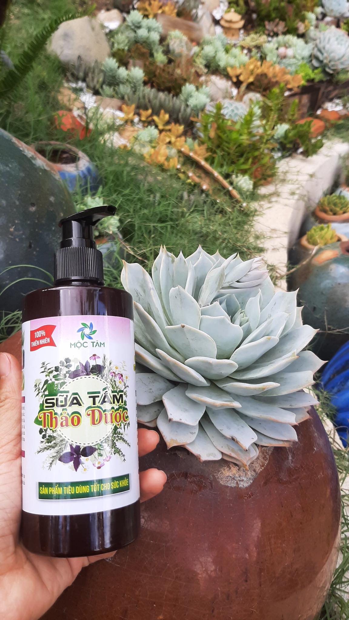 Sữa Tắm Thảo Dược Mộc Tâm