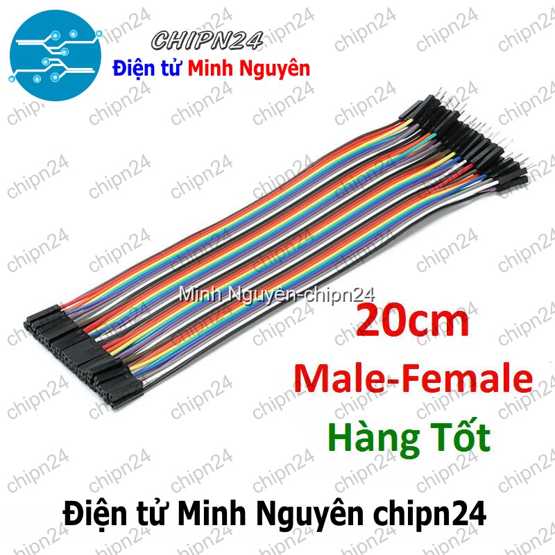 [20 sợi] (P85) Dây Cắm Test Board 20cm Đực-Cái Hàng Tốt - HH003752