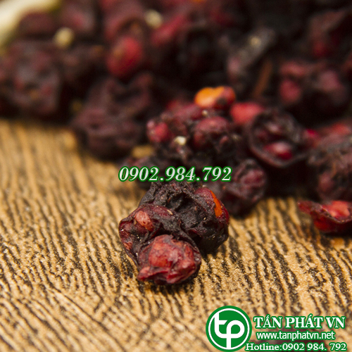 [Hàng mới về] Ngũ vị tử khô 100g - Tấn Phát - Chuyên dùng để cải thiện sức khoẻ người sử dụng