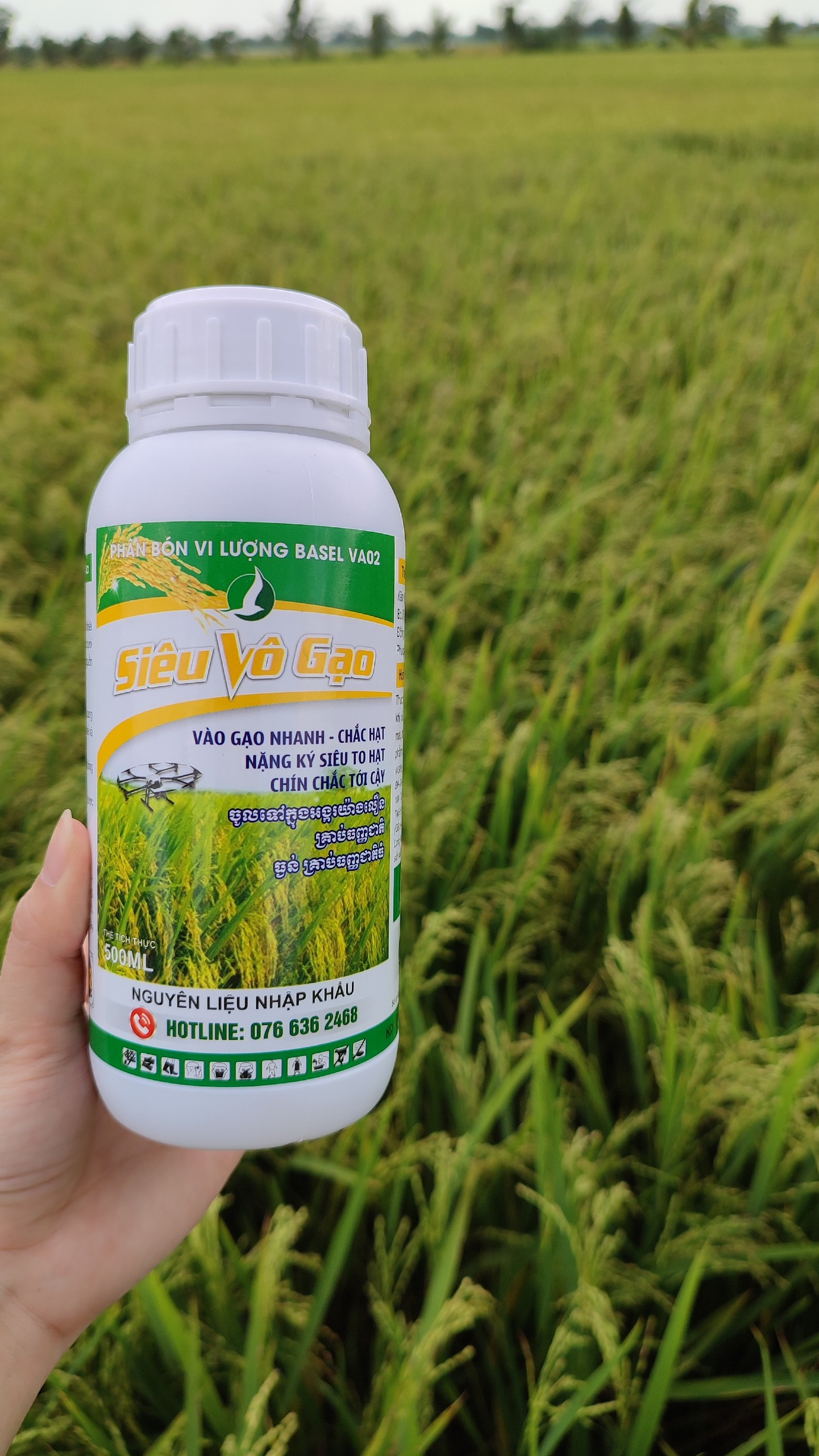 Phân bón lá - Lúa trổ thoát đòng, bung đòng mạnh, vô gạo nhanh (Siêu vô gạo 500ml)