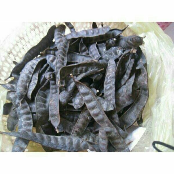 100g bồ kết khô
