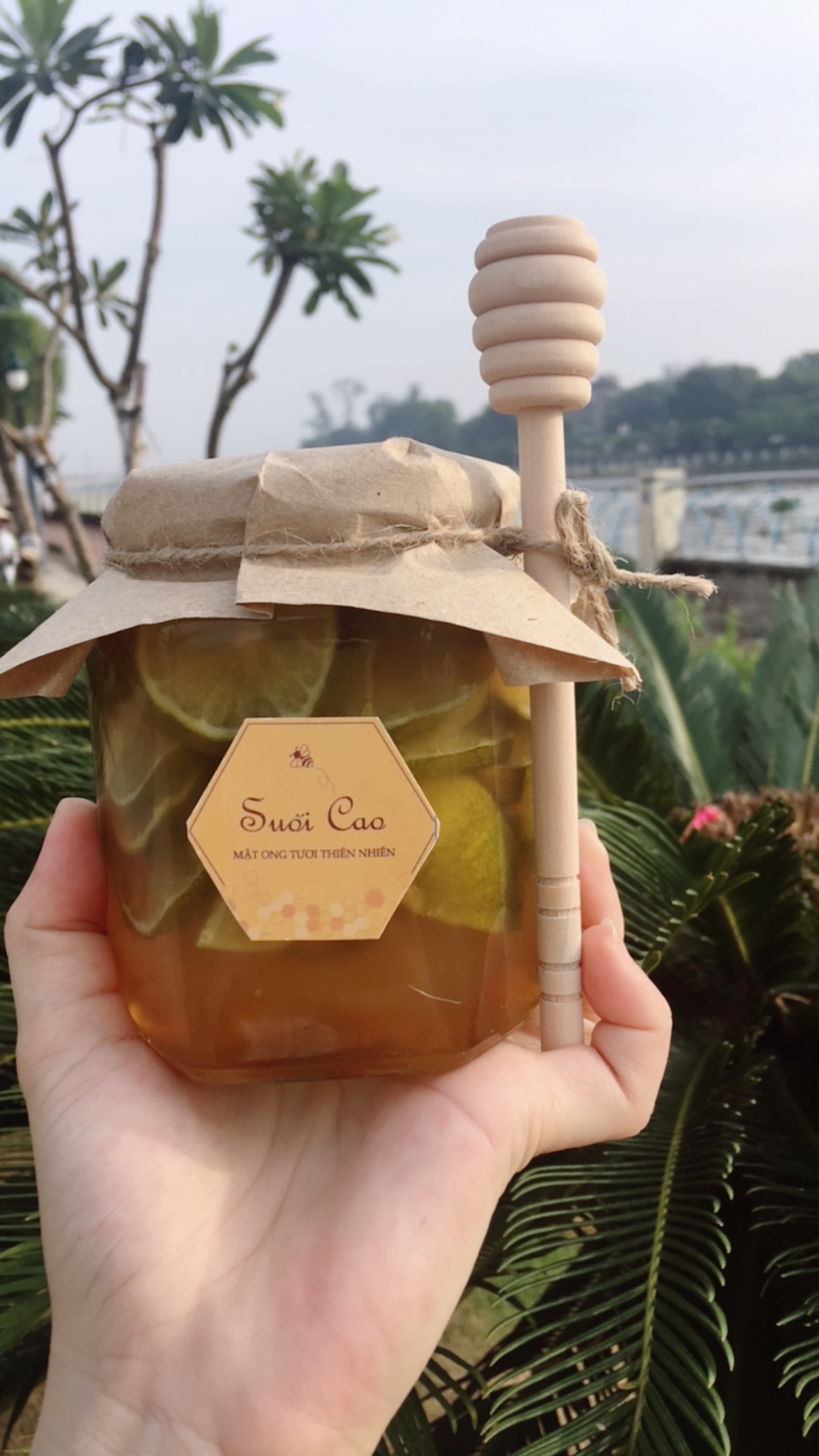 CHANH-NGÂM-MẬT-ONG-ĐƯỜNG-PHÈN-380ML