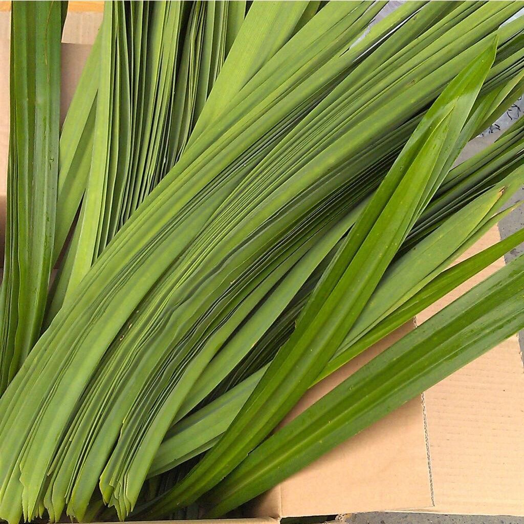 [HCM] Lá Dứa Khô 100 Gram
