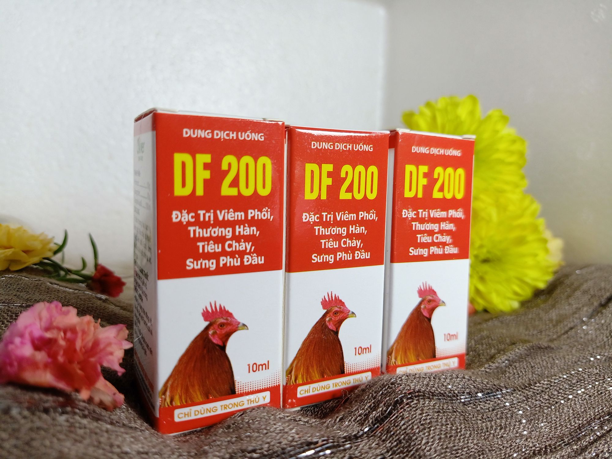 GÀ ĐÁ HẾT VIÊM PHỔI
