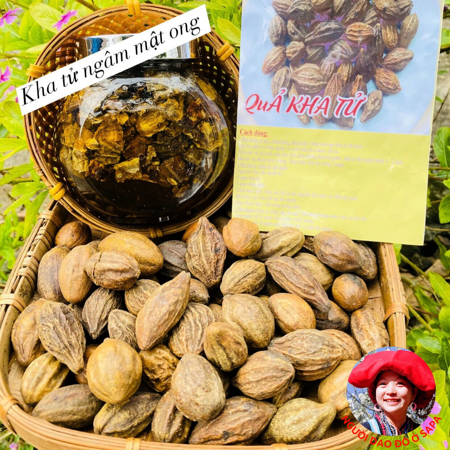 Quả Kha tử khô giúp ngừa ho loại 1 , Hạt Kha tử rừng khô ngậm giúp sạch phổi, trừ ho, khản tiếng, dùng ngâm mật ong