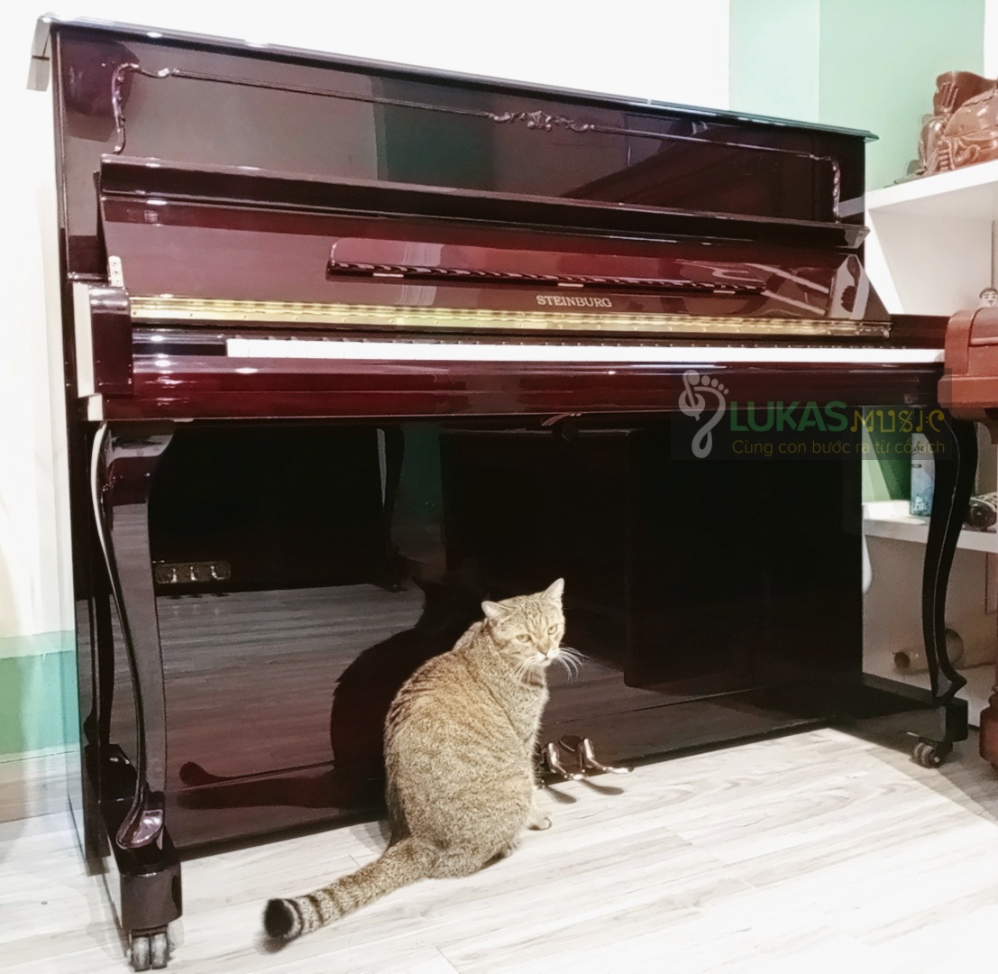 [HCM]ĐÀN PIANO STEINBURG - MP-119FCD