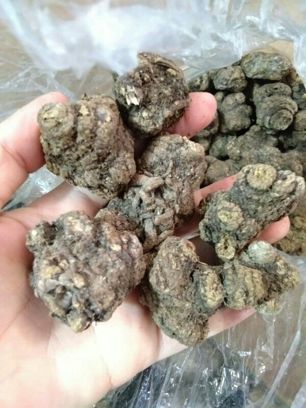 500g xuyên khung
