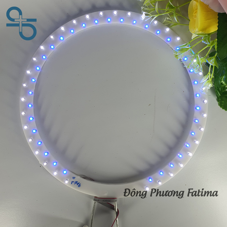 Vòng Hào Quang Led Đôi 21cm