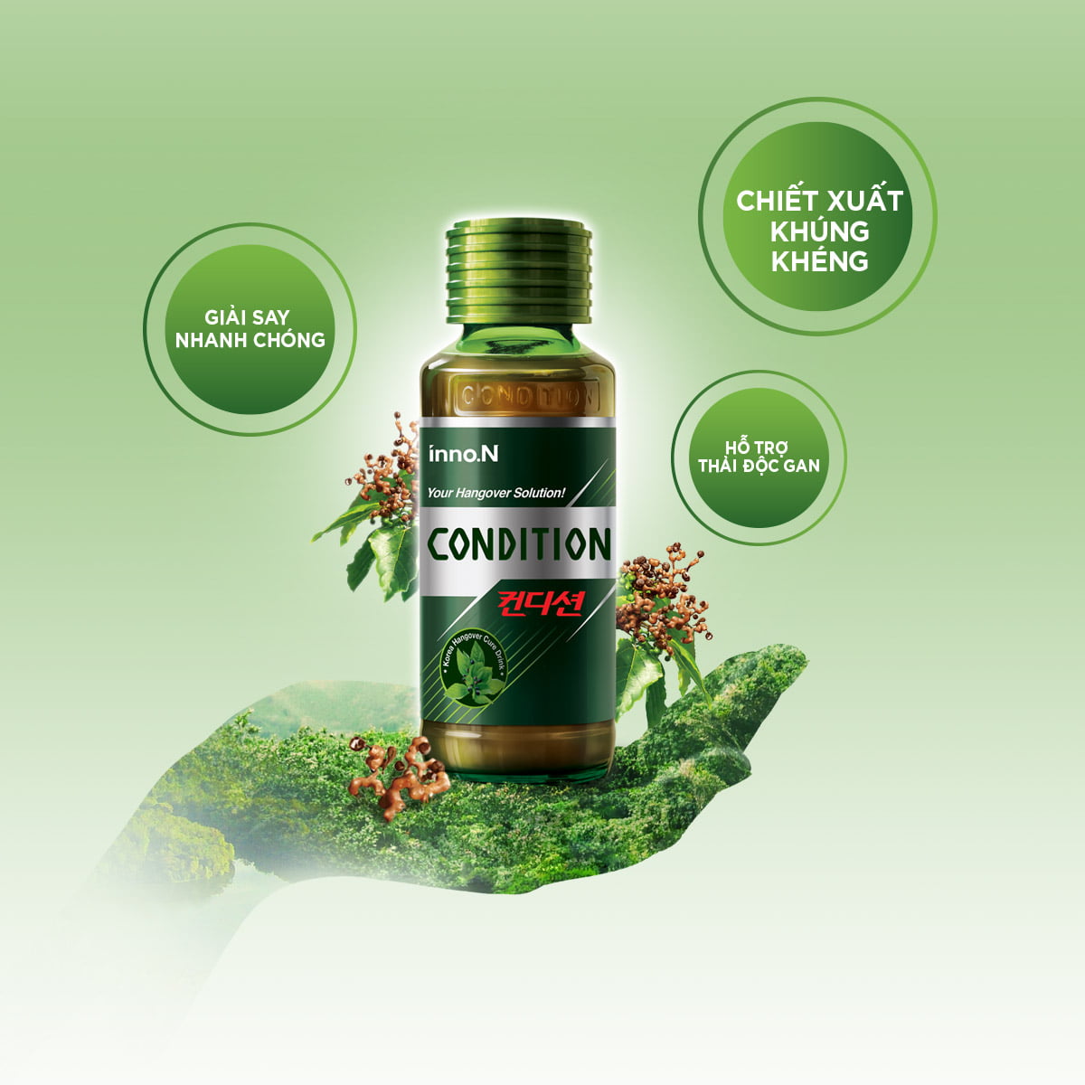 Nước Giải Rượu, Mát Gan Condition 75ml