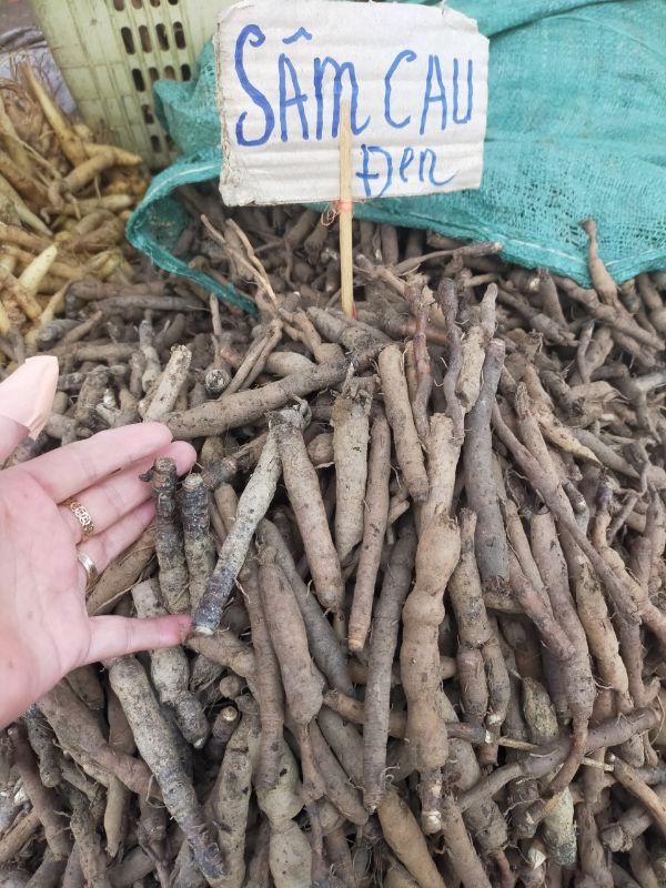 Sâm Cau Đen 1Kg (Sâm Tiên Mao)