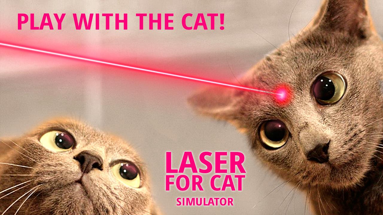 Đồ chơi cho mèo - Tia laser đuổi bắt