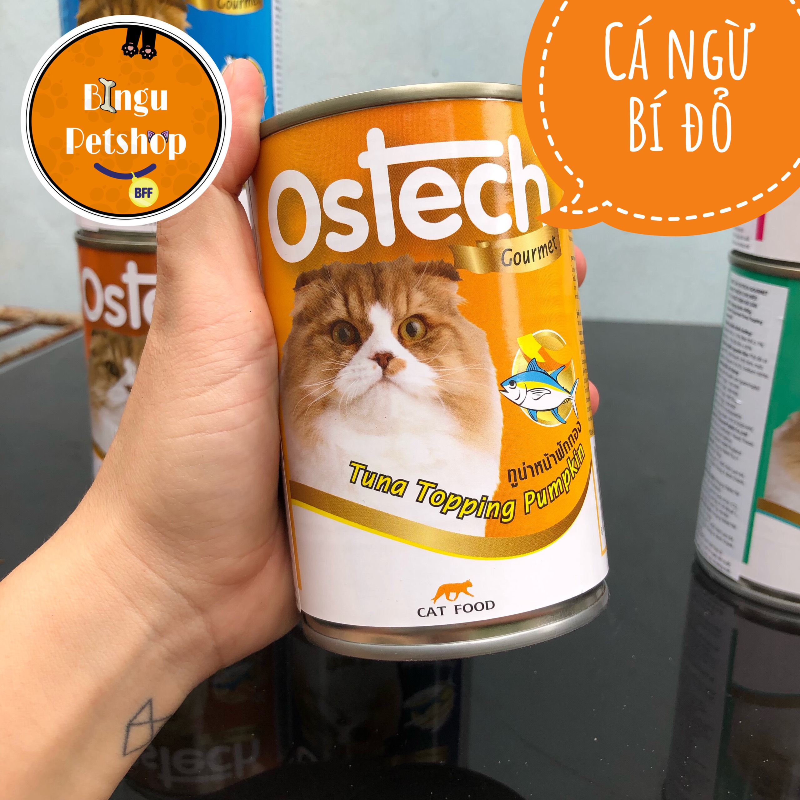 Pate cao cấp cho mèo Ostech Gourmet 8 vị hấp dẫn - lon 400gr