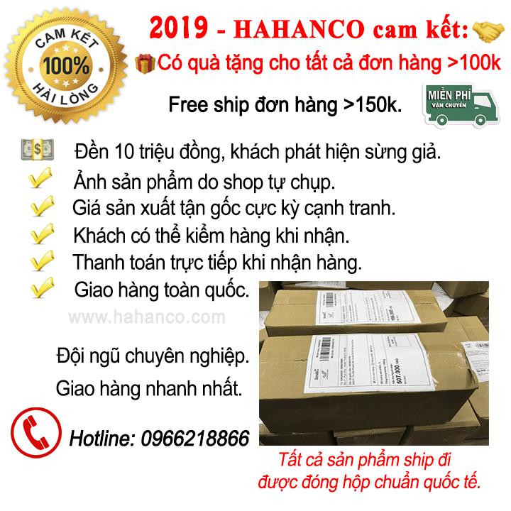 Lược sừng Công đẹp làm quà tặng VIP (Size: L - 18cm) Chăm sóc tóc - Horn Comb of HAHANCO - COH112S