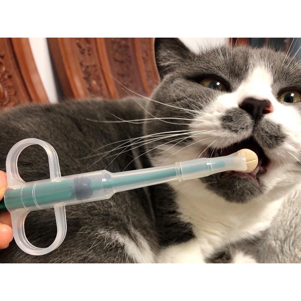 Dụng cụ cho chó mèo uống thuốc