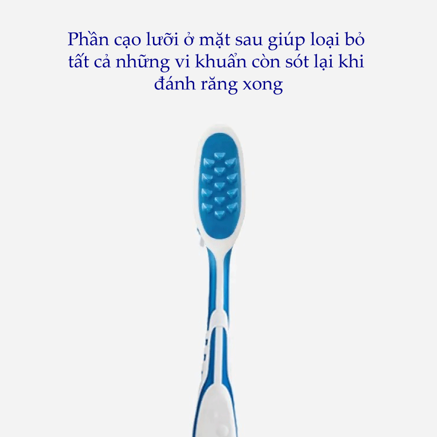 Vĩ Đôi Bàn Chải Đánh Răng Trisa Extra Pro Clean