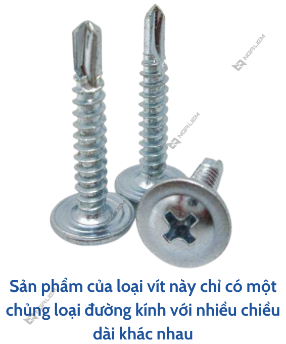 Vít Dù Song Long 1F3, 1F6, 1F9, 2F5, 3F, 4F, 5F, 6F (Chữ D loại Xịn) (BỌC 100, 200 GRAM)