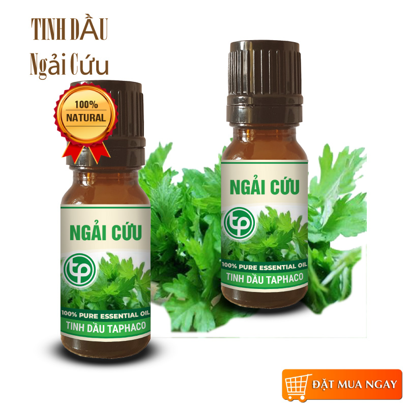 Tinh dầu ngải cứu nguyên chất 10ml - Thảo Dược Tấn Phát