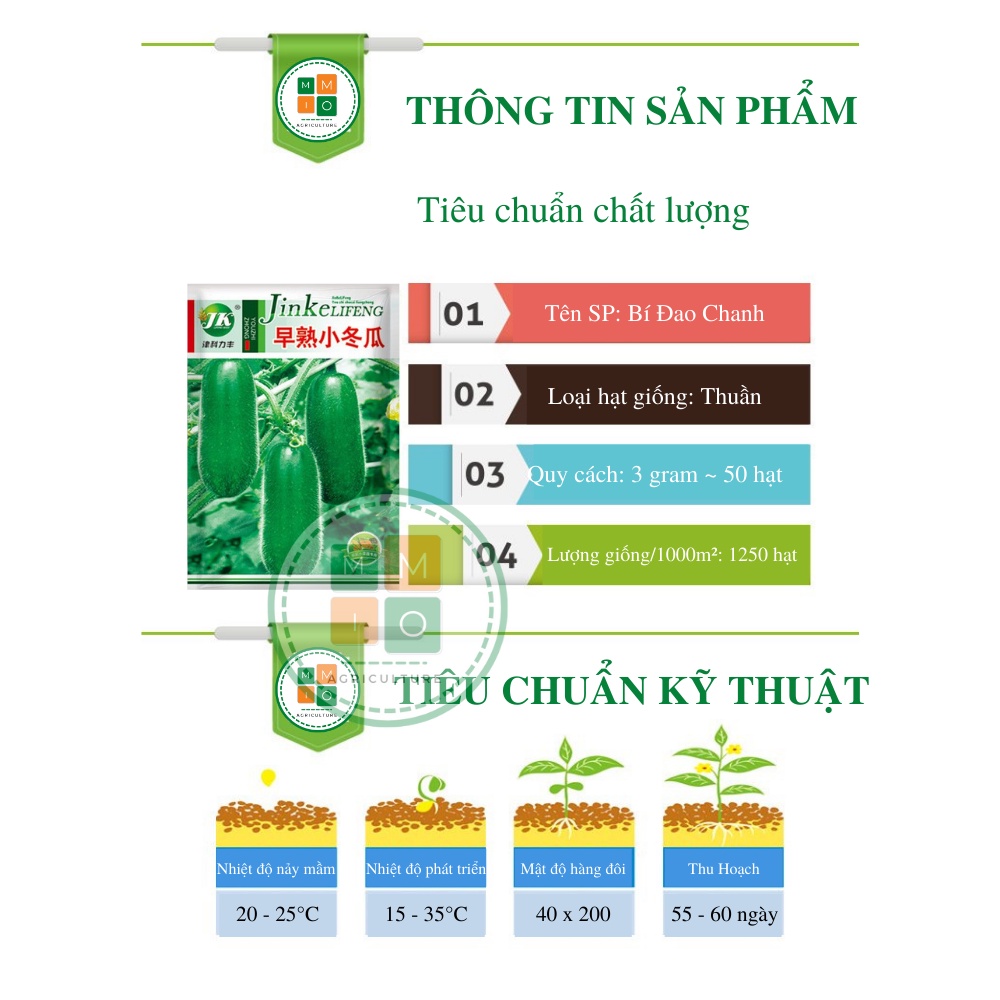 Hạt giống bí đao chanh xanh siêu quả