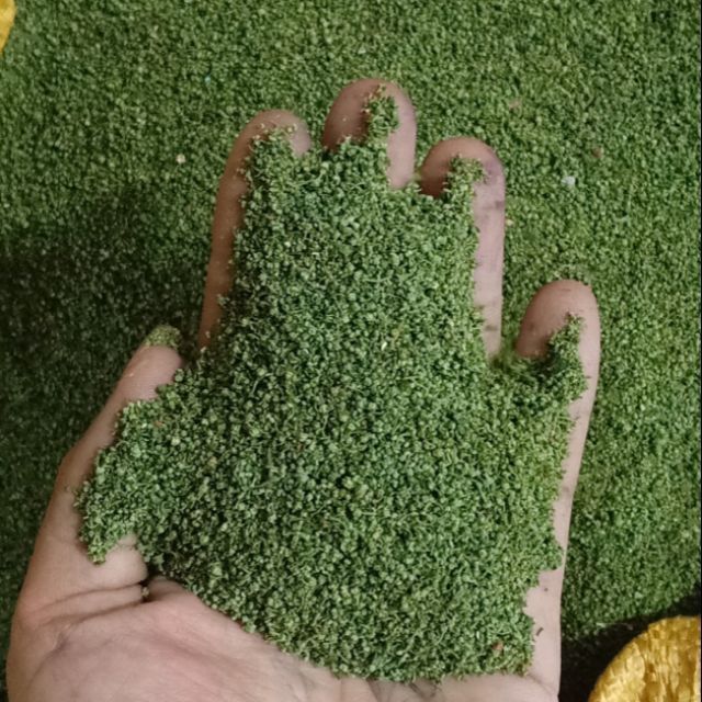 500g nụ tấm hoa tam thất