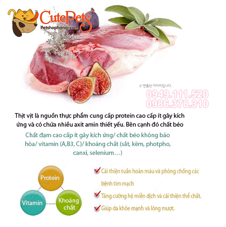 Thức ăn cho chó ANF 6 Free Dog hạt hữu cơ