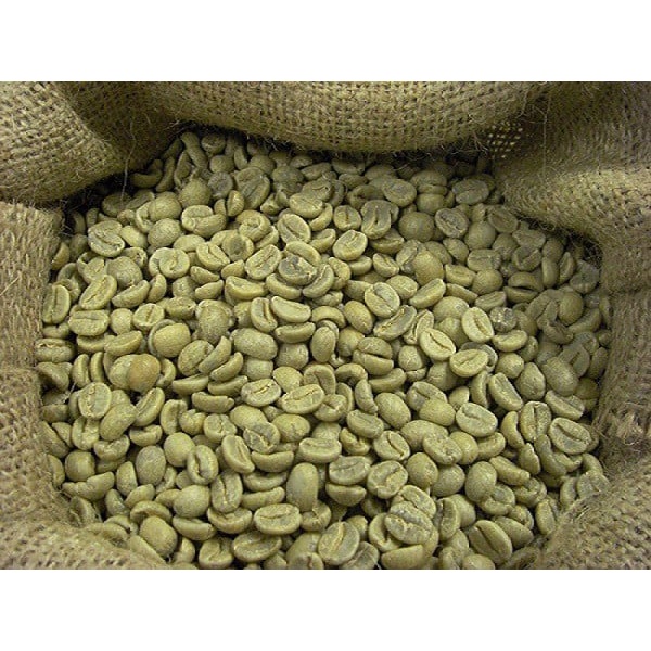 300gr Nhân Cafe Arabica loại đặc biệt_CÂY GIỐNG CAO NGUYÊN XANH
