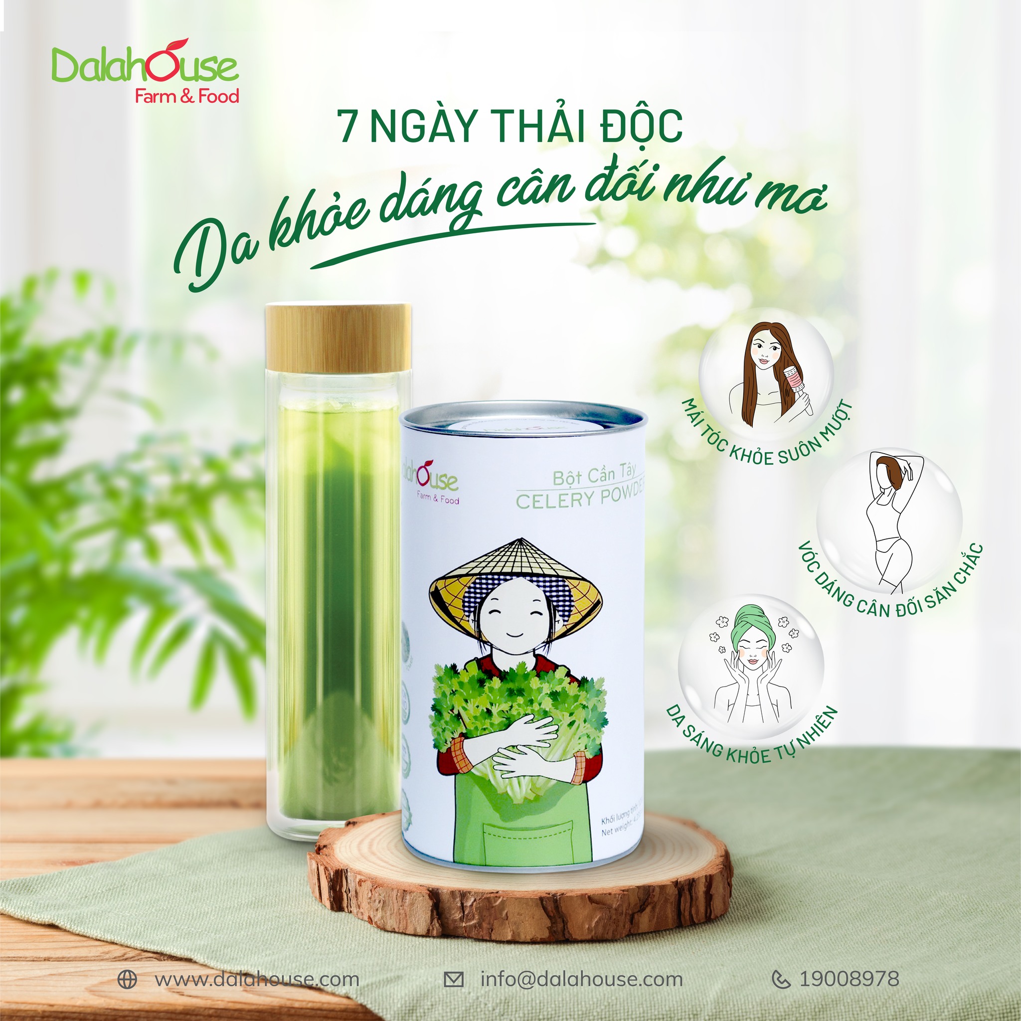 Bột cần tây sấy lạnh Dalahouse hộp 120g