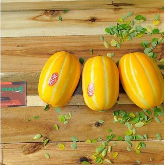 243A Hạt Giống Cây Dưa Lê Vàng Hàn Quốc (10 Hạt)